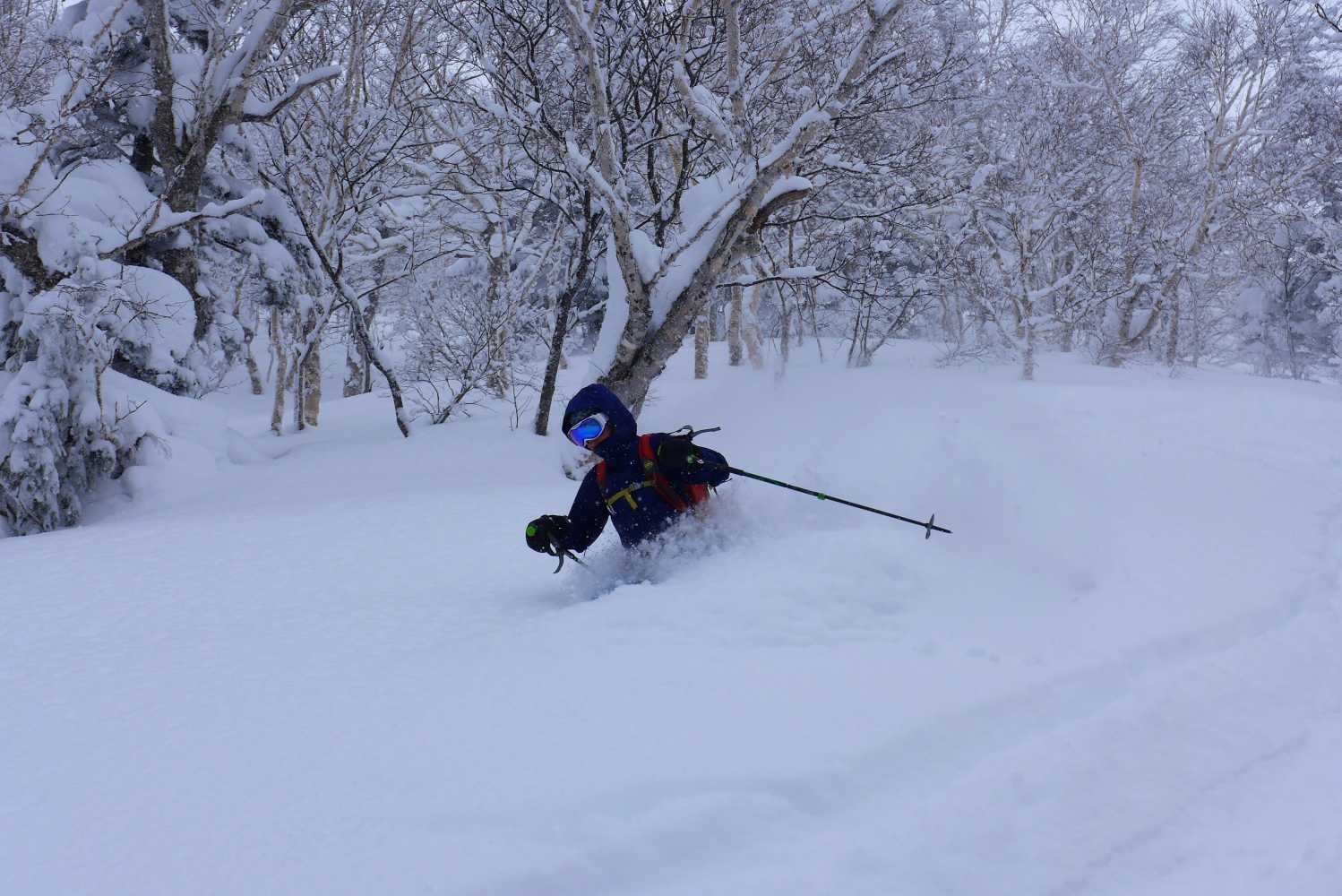 tocashidake ski guide powder