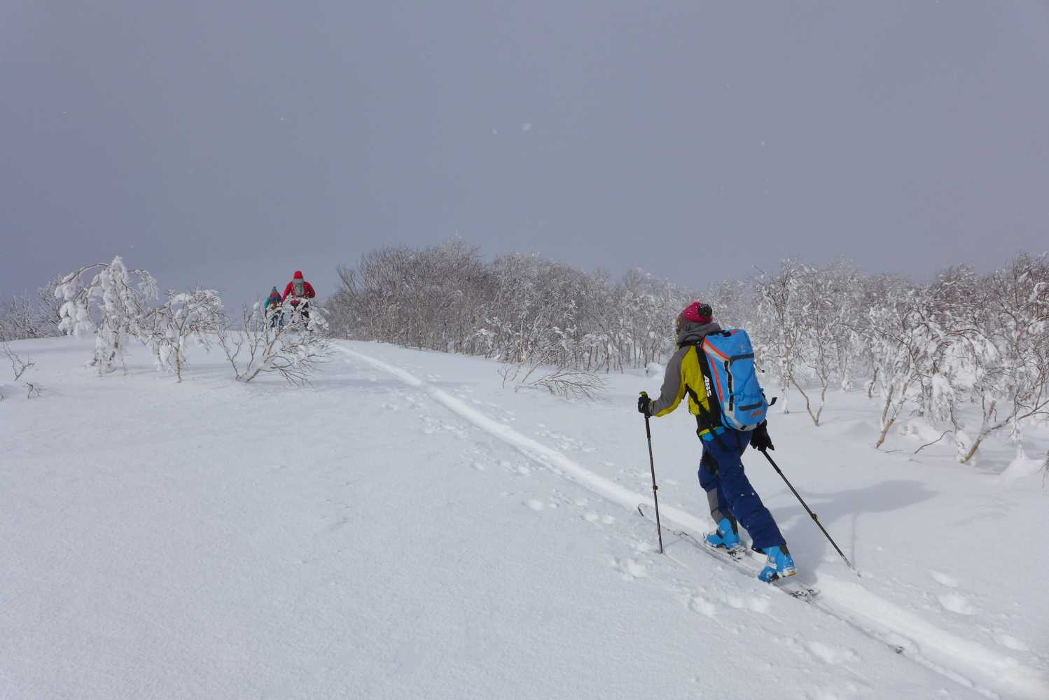 ski guide japan