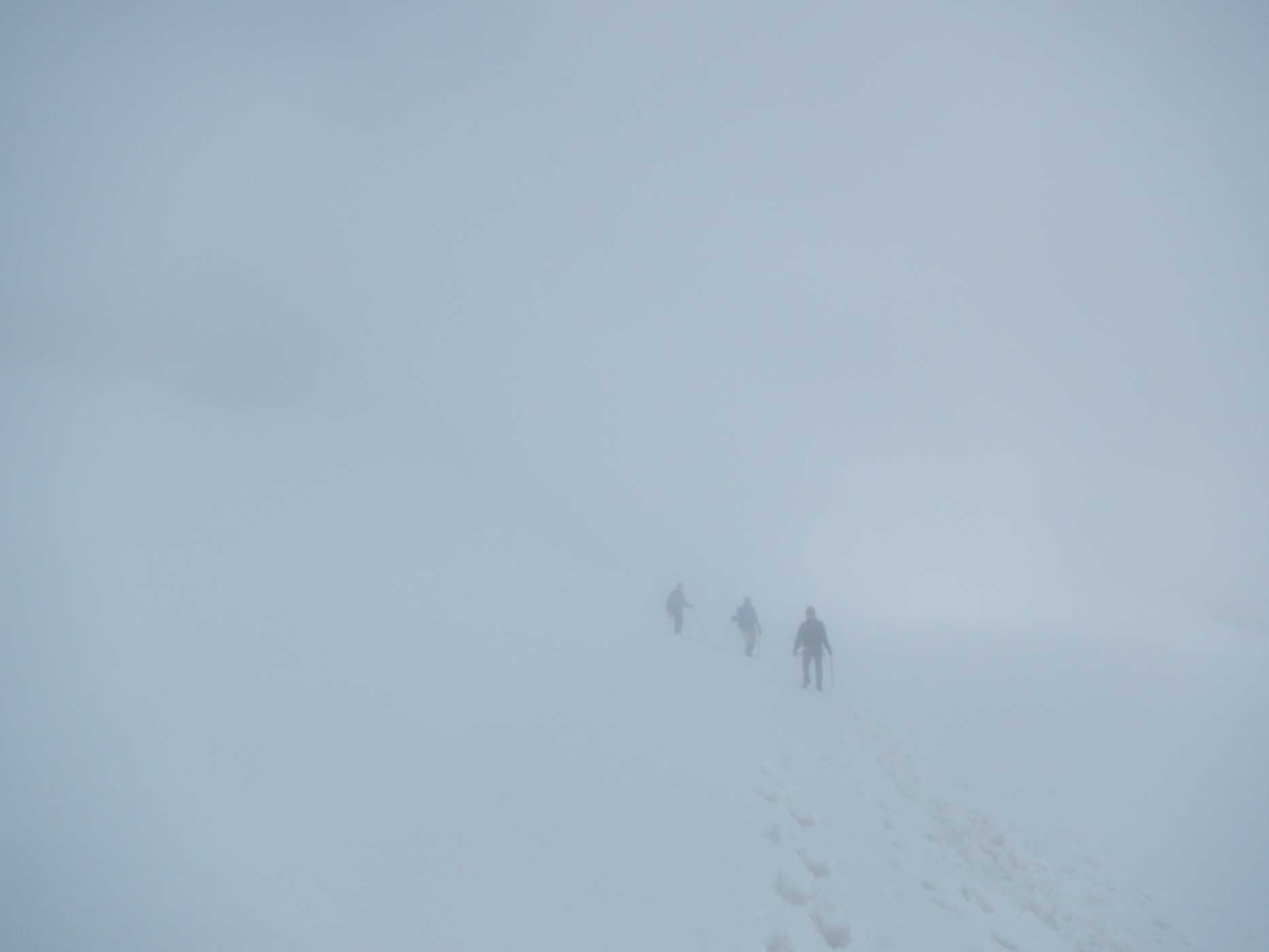 dome de polset brouillard guide