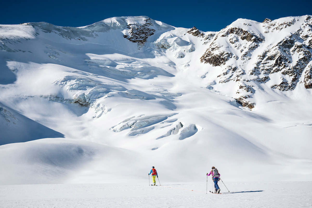 ortles guide montagne