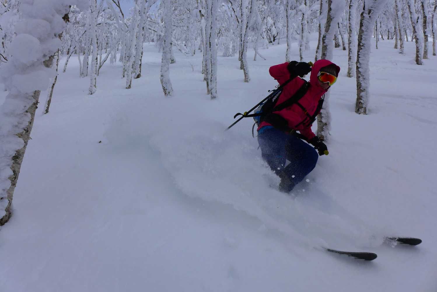 ski japon guide montagne