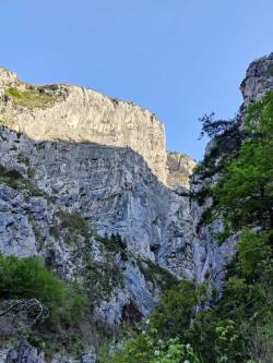 Une Jolie fleur dans une peau de vache, Verdon